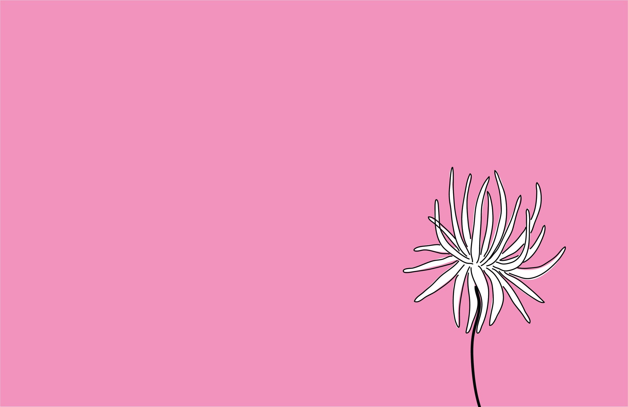 Grief Spring Pink Flower